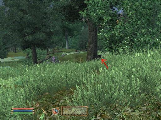 Elder Scrolls IV: Oblivion, The - Дневник имперского гастарбайтера. Том третий.